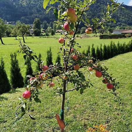 - 1 Am Ossiachersee * Treffen